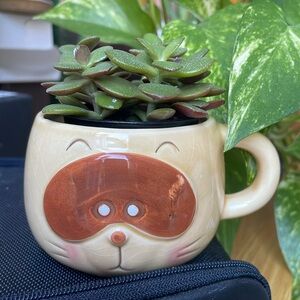 Cute small Raccoon Face planter cup Mug